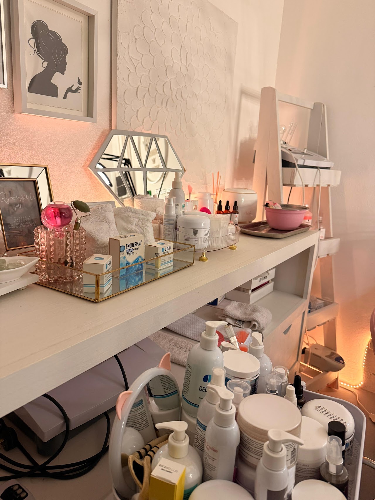 Productos profesionales de Kary Belleza y Salud